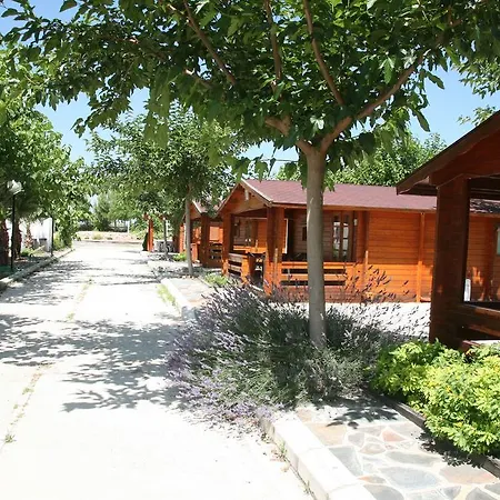Farm stay El Mas De Xeta Llutxent