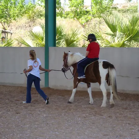 El Mas De Xeta 팜스테이