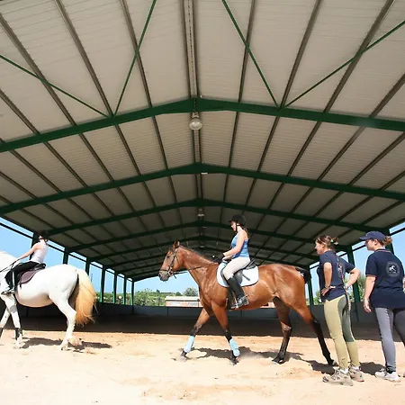 El Mas De Xeta * Llutxent